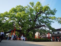 -新安江山水画廊风景区