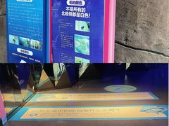 -海合安成都极地海洋公园