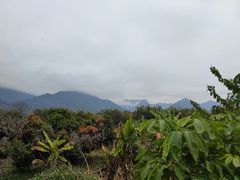 -竹语饭香·原生态农庄·烧鸡·竹筒饭·河鲜(森林海白水寨店)