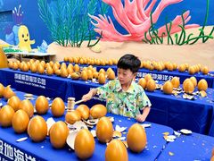 -海合安成都极地海洋公园