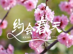 -沂蒙山旅游区龟蒙景区