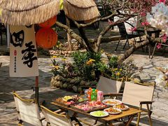 -桃源山庄·水蜜桃采摘·柴火鸡·烧烤团建(龙泉山店)