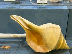 -浙江自然博物院(杭州馆)