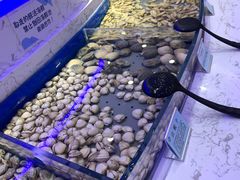 -澜悦港海鲜体验主题餐厅