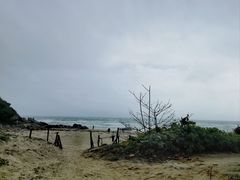 -海南铜鼓岭景区