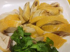 -黄B湛江鸡饭店(粤垦路店)