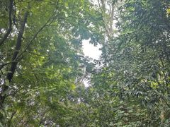 -华南国家植物园-售票处