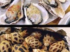 花螺-蚝专家(北滘店)