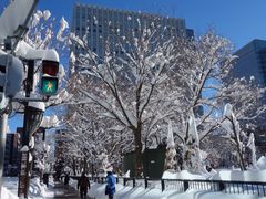 -北海道厅旧本厅舍(旧本庁舎)