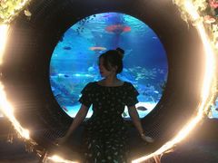 -沈阳海洋探索中心