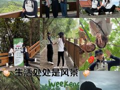 -大屏嶂森林公园