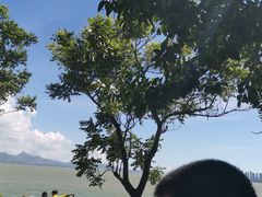 -欢乐海岸椰林沙滩-2025湾区超级灯会