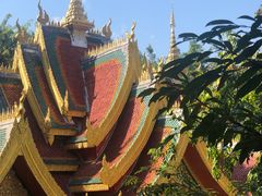 -西双版纳勐泐文化旅游区