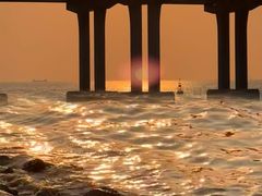 -宝安西湾红树林湿地公园