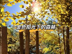 -海珠湖公园