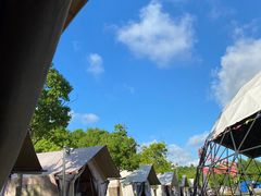 -上海海湾国家森林公园