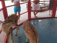 -威海华夏城景区