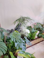 -Lumi露米·美甲美睫品质店