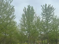 -滨河世纪广场公园