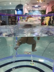 -AIBBY亲子水育中心(盐城宝龙店)