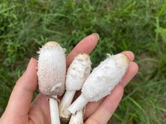 -白鹭湾湿地公园