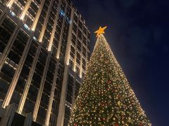 -徐记海鲜(南油永新汇店)