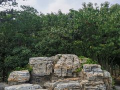 -大兴滨河森林公园