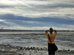 -宝安西湾红树林湿地公园