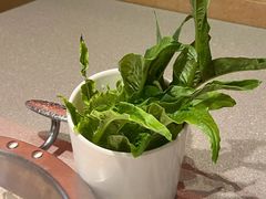 -八合里潮汕鲜牛肉火锅(广州五羊邨店)