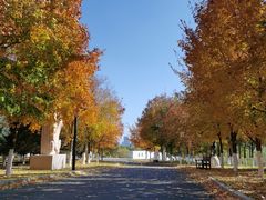 -长春世界雕塑园冰雪艺术天地