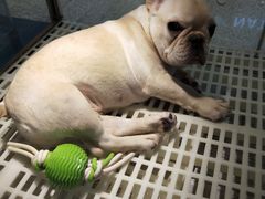 -乐宠宠物店(世纪金源店)