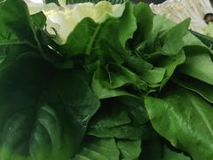蔬菜拼盤-潮汕林记牛肉火锅(万象天地店)