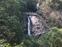 -广州白江湖森林公园