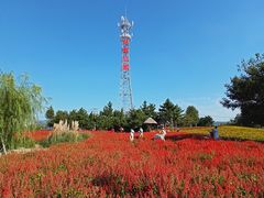 -羊亭河湿地公园