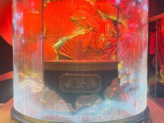 -德发长·花式蒸饺(大唐不夜城店)