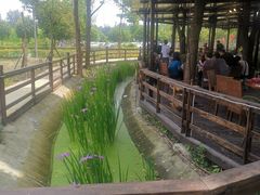 -洪湖家庭农场·团建·露营·会议