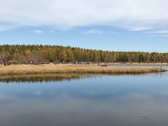 -塞罕坝国家级自然保护区