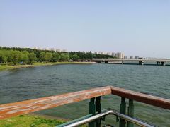 -丁香湖公园