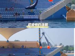 -秦皇岛乐岛海洋王国