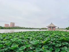 -济南大明湖景区