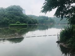 -重庆彩云湖湿地公园