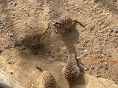 -茅山东方盐湖城景区