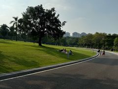-东莞植物园