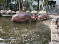 -宁波野生动物园