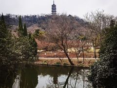 -焦山景区-万佛塔