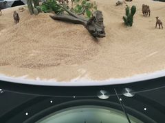-无名居(中关村辽宁大厦店)