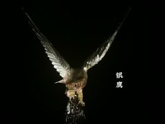-深圳珠宝博物馆