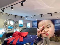 -上海德星奔驰(江杨南路店)