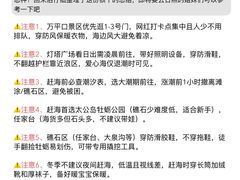 -日照灯塔风景区