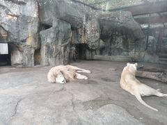 -南昌动物园